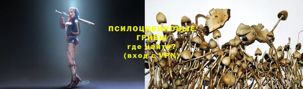 мескалин Алексеевка