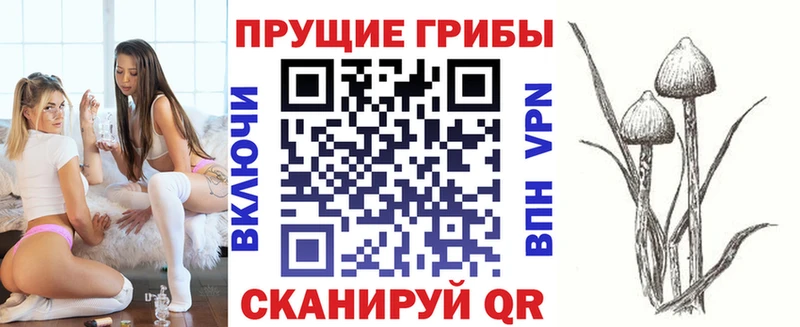 Псилоцибиновые грибы Cubensis  Воткинск 