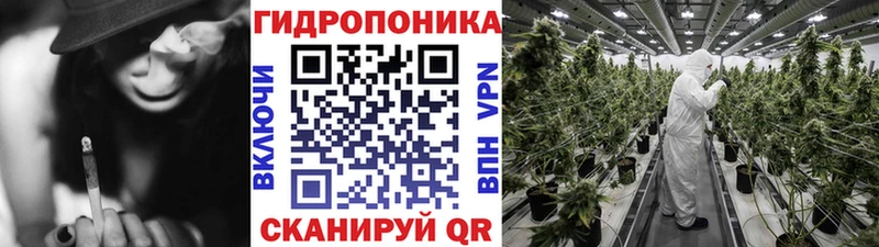 Шишки марихуана SATIVA & INDICA  как найти закладки  гидра ONION  Воткинск 